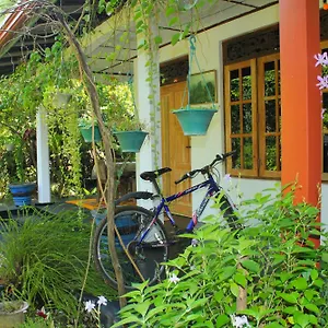 https://nature-night-homestay.kandyhotelsnow.com